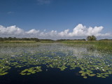 Aransas Wildlife Refuge