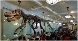 Tyrannosaurus Rex 2