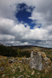 Near Glencullen