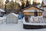 Winter sleep
