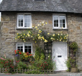 Mr Jones's cottage.