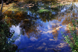 Reflected