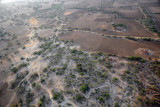 Scrubby area of the Southern Plains, Bagan