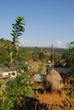 Village, Bandipur Junction