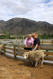 Mom and Deb with their first NZ sheep closeup