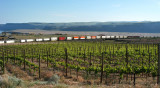 Westbound BNSF trailers and containers and stationary grapes (one PBaser works here)