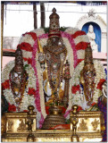 6th day -Parthasarathi closeup shot in punniya kOti vimAnam.jpg