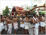 8th day morning - thiruveedhi purappadu1.jpg