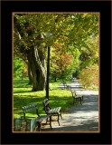 Beneath the Lamppost