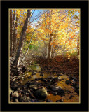 Fall Stream