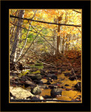 Flowing Gold
