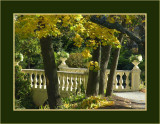 Public Gardens