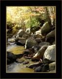 Streamside