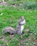 Whats up doc?. haven't seen a platypus before, eh?.jpg