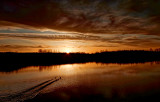 Guelph Lake