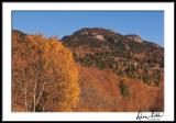 Grandfather Mt. Fall Morning