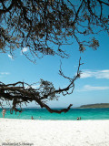 Kelly's Beach