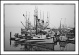 Morro Bay, California