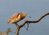 IMG_2760.JPG