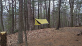 My hamock & tarp. No leaves yet