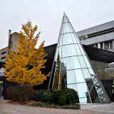 Connecticut Children's Medical Center - Hartford Hospital