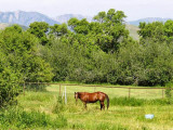 Real Estate picture