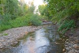Avon 19 5153 East Fork of Little Bear River runs thru property. Yes there are trout (brown) in there.