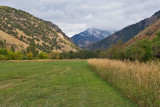 Avon 133 5445.jpg