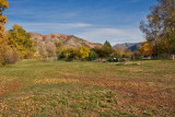 Avon 138 5498 Lower pasture