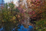 Avon 140 5494 River out back sporting fall colors