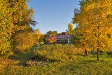 Avon 143 5489 Fall colors around house