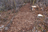 trail 21 5718 New Trail