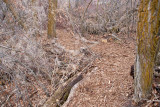 trail 6 5702
