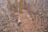 trail 7 5703