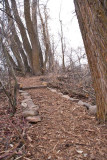 trail 18 5715