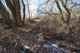 trail 24 5726