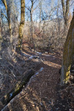 trail 27 5732