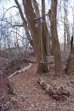 Trail 32 5961