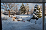 Jan 24 6139 - Maybe 3 inches on top of some old snow