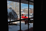 Jan 24 snow 6141.jpg