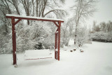 Snow 6256