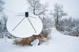 Snow 6261