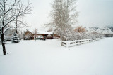 Snow 6267