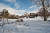 Snow 6293