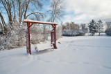 Snow 6321