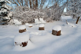 Snow 6322