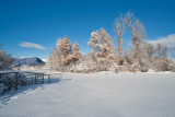 Snow 6343