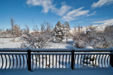 Snow 6351