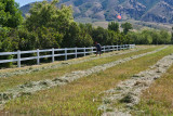 6950 Davey weed whacking