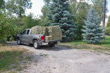 7301 Hay day